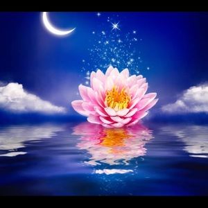 Meet your Posher, Newyorkaestetic